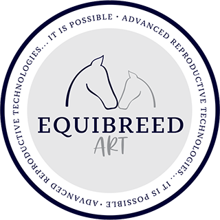 EquiBreed Art